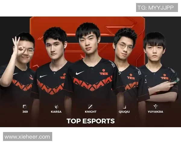 以knight中路为核心解析新赛季团队战术格局与关键胜负手