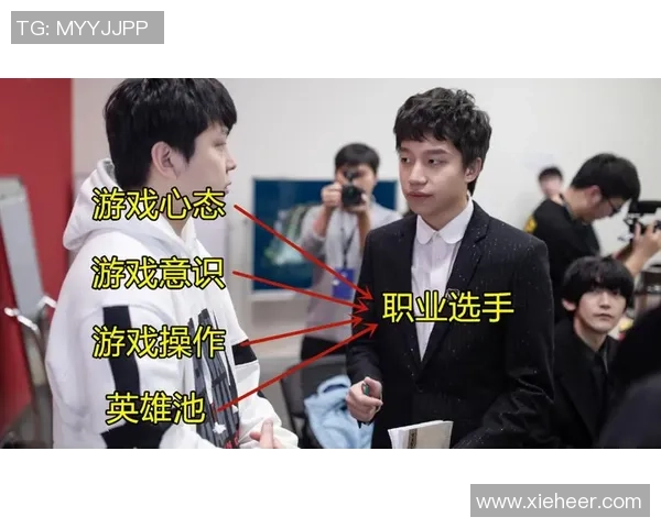 全球电竞产业发展趋势与职业选手生态环境变迁深度解读全面分析篇