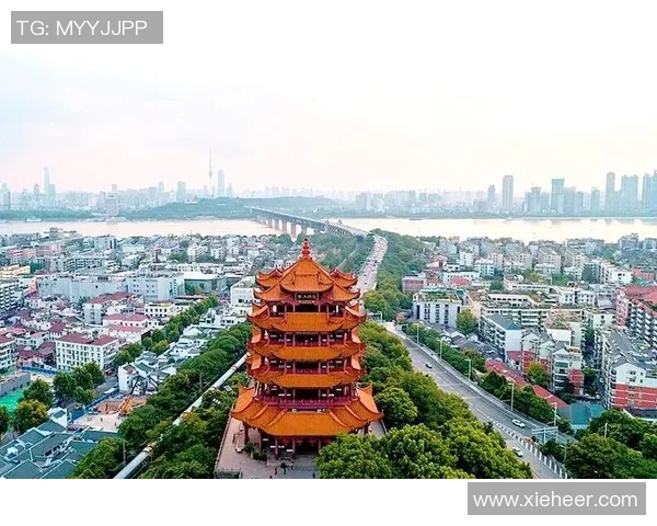 武汉三镇协同发展新机遇 聚焦长江经济带城市创新融合之路